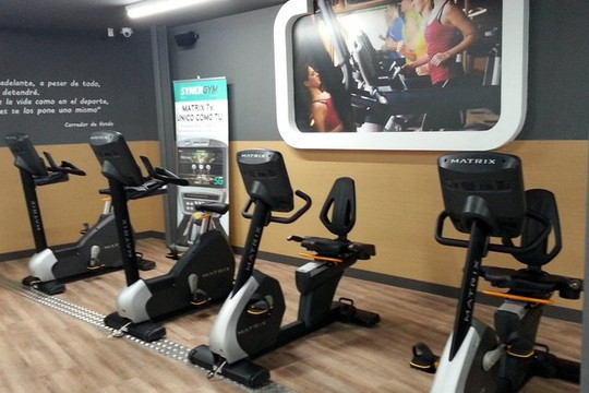 Imagen 1 de la galería del partner Synergym Córdoba