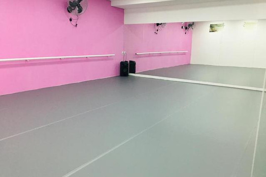 Imagem 3 da galeria do parceiro Grand Ballet Marina Lira