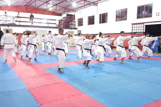 Imagem 3 da galeria do parceiro Associação Nakayama de Karatê Shotokan