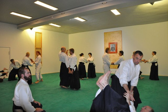 Bild 3 von Kranich Dojo-Kreuzberg Partnergalerie