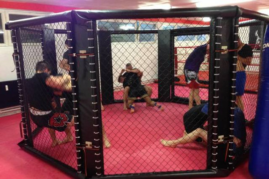 Bild 1 von Martial Arts Academy Fischer Partnergalerie
