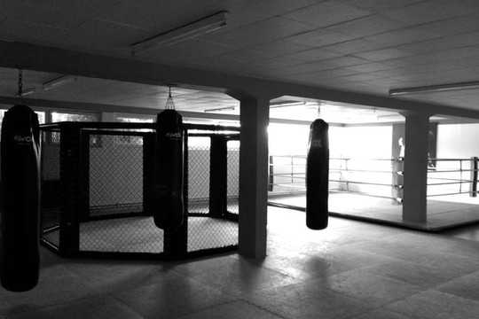 Bild 2 von Martial Arts Academy Fischer Partnergalerie