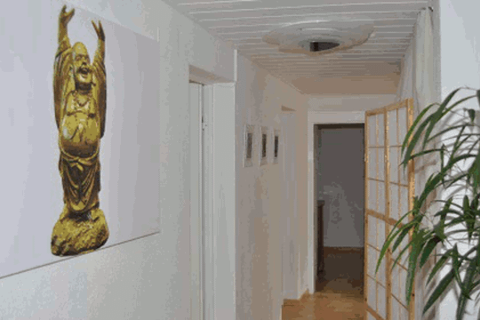 Bild 1 von Moveo-Lauf Partnergalerie