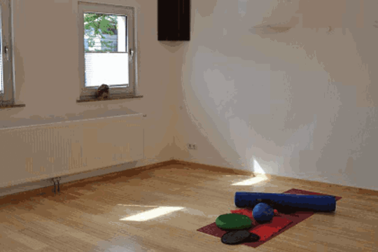 Bild 2 von Moveo-Lauf Partnergalerie
