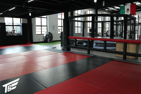 Imagen 3 de la galería del partner Team Six Training Center