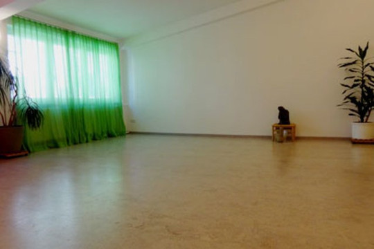 Bild 2 von Yoga Zentrum Darmstadt Partnergalerie