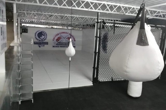 Imagen 1 de la galería del partner Academia Lion Guru