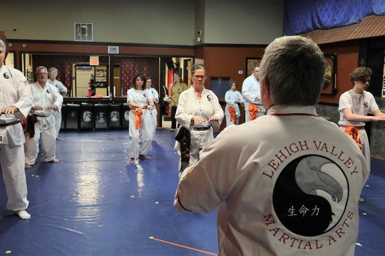 Image 3 from Lehigh Valley Martial Arts - Palmer partner gallery