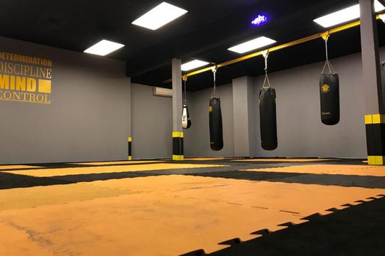 Imagem 3 da galeria do parceiro Mega Gym Club