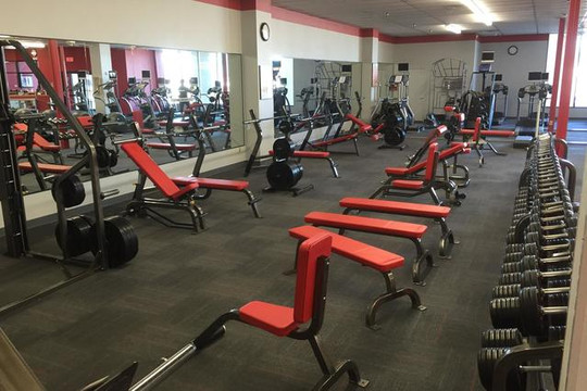 Image 1 from Wellness Today partner gallery