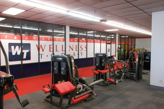 Image 3 from Wellness Today partner gallery