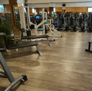 Bild 1 von Venice Sport und Freizeitcenter Partnergalerie