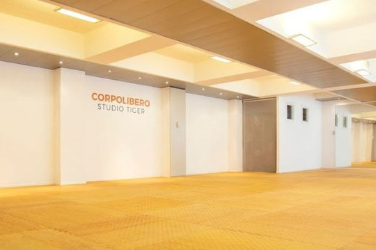 Immagine 3 dalla galleria del partner Palestra Tiger