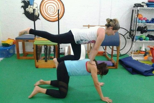 Imagem 1 da galeria do parceiro Estúdio Pilates Alessandra Dini
