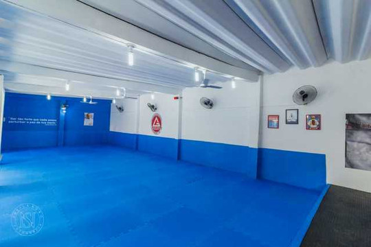 Imagem 3 da galeria do parceiro Gracie Barra Cascadura