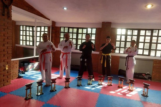 Imagen 2 de la galería del partner V Karate Do Sta Elena