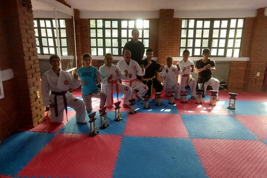 Imagen 3 de la galería del partner V Karate Do Sta Elena