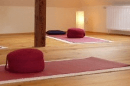 Bild 1 von die-yogawerkstatt Köpenick Partnergalerie