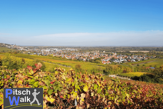Bild 3 von PitschWalk – Powerwalking Oppenheim Partnergalerie