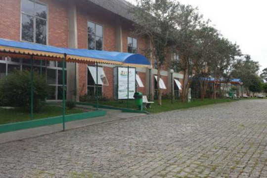 Imagem 2 da galeria do parceiro Cepe