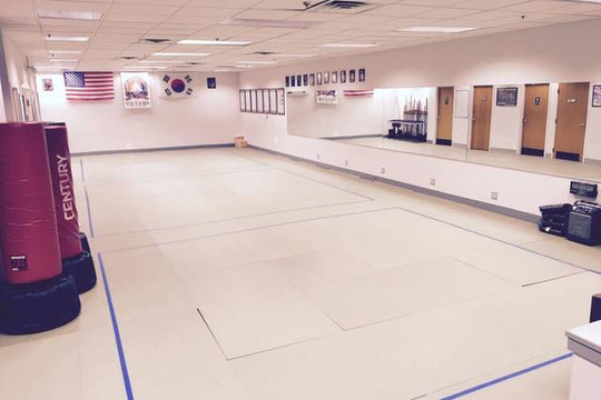 Image 3 from Revolution Martial Arts Institute partner gallery