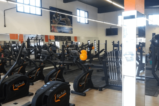 Imagem 1 da galeria do parceiro M1 Trainner