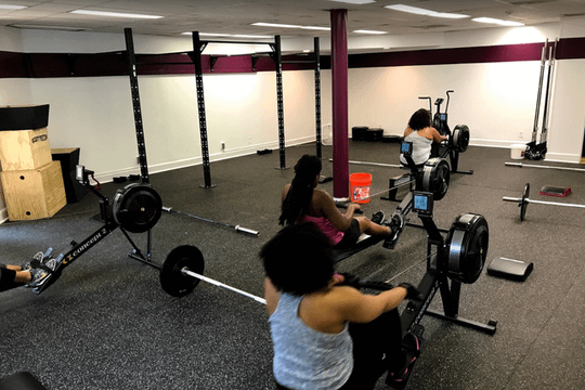 Image 3 from Temple Training partner gallery