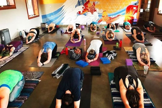Image 1 from The Spokane Yoga Shala partner gallery