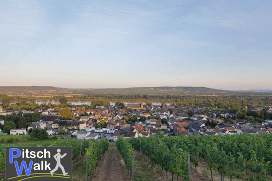 Bild 3 von PitschWalk – Powerwalking Geisenheim Partnergalerie