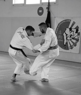 Immagine 2 dalla galleria del partner G.A.DIURNO Ju Jitsu San Pietro In Cariano