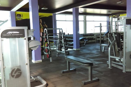 Imagen 1 de la galería del partner Warrior Fit