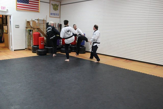 Image 2 from Y.S. RHO Martial Arts partner gallery