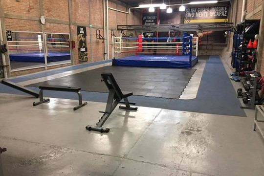 Imagen 2 de la galería del partner Box Arena Constituyentes