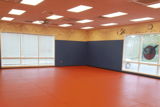 Image 2 from RTMA Martial Arts partner gallery