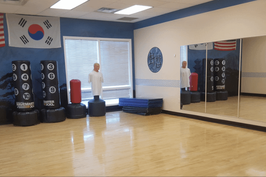 Image 3 from RTMA Martial Arts partner gallery