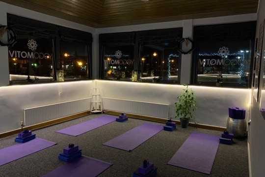 Image 3 from Yogomotiv partner gallery