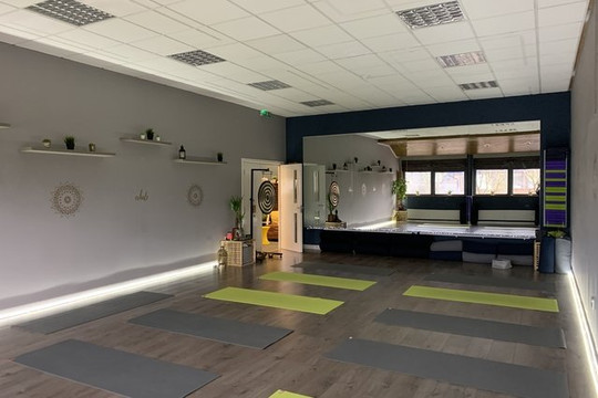 Image 1 from Yogomotiv partner gallery