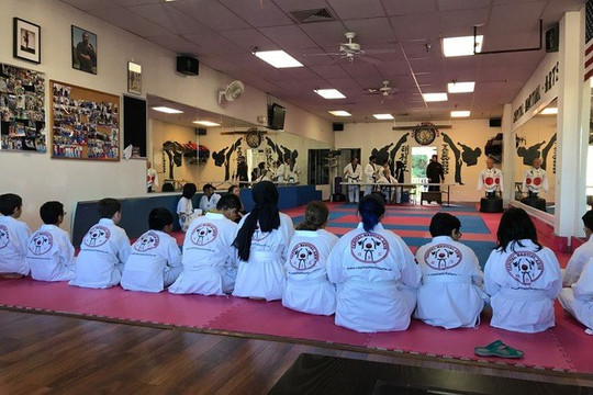 Image 2 from Capital Area Martial Arts partner gallery