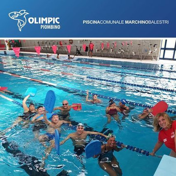 Immagine 2 dalla galleria del partner Olimpic Nuoto Piombino