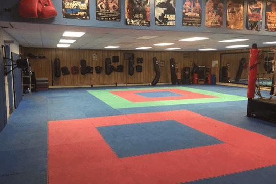 Image 1 from Rat Pack Fighting Systems partner gallery