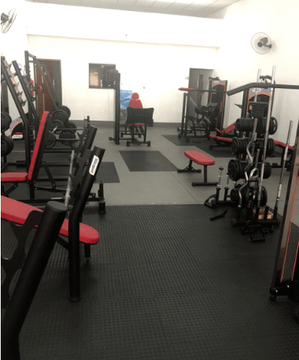 Imagem 3 da galeria do parceiro Sparta Academia