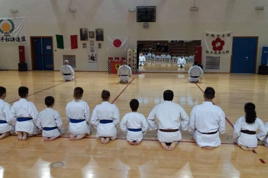 Immagine 1 dalla galleria del partner Palestra Karate Judo Maranello