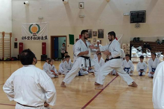 Immagine 2 dalla galleria del partner Palestra Karate Judo Maranello