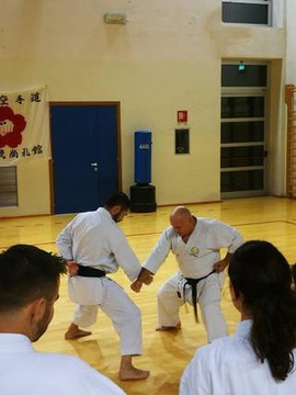 Immagine 3 dalla galleria del partner Palestra Karate Judo Maranello