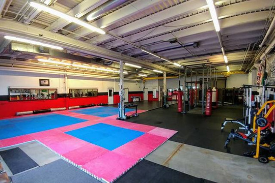 Image 2 from Savage MMA and Fitness partner gallery