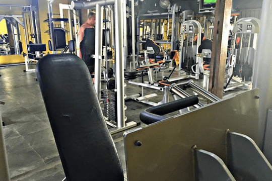 Imagem 3 da galeria do parceiro Bio Forma