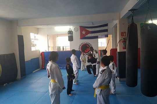 Imagen 2 de la galería del partner Fighting bulls academy