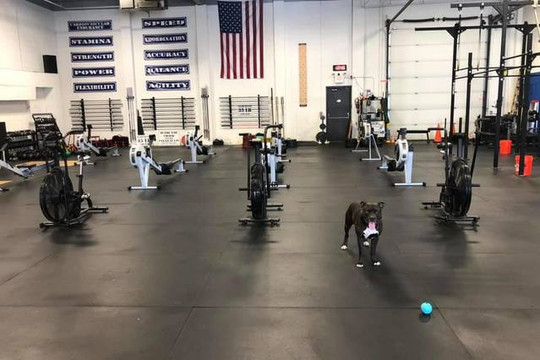Image 3 from CrossFit Lehigh Valley partner gallery