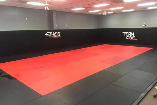 Image 1 from Ethos Jiu Jitsu And Martial Arts partner gallery