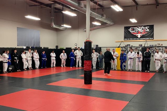 Image 3 from Ethos Jiu Jitsu And Martial Arts partner gallery